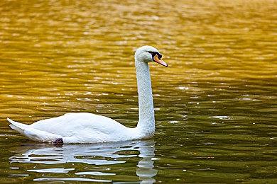 《星球大战：赏金猎人》升级版公布 8月1日发售